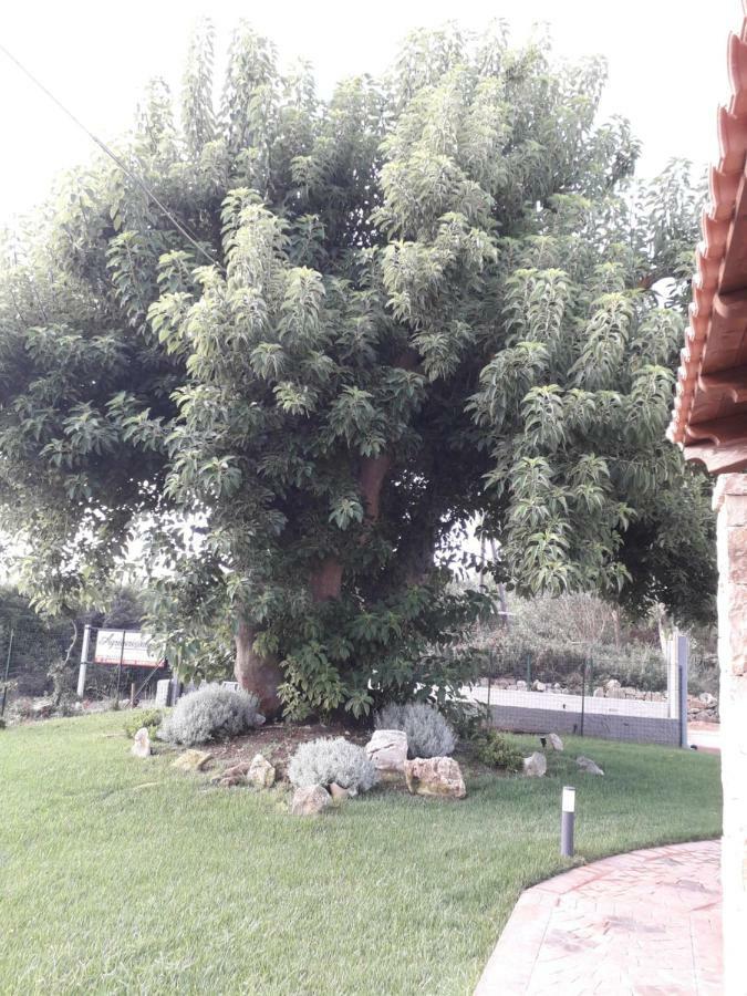 Agriturismo Quattro Mori Porto Torres Εξωτερικό φωτογραφία